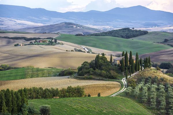 Fotografia Naturalistica : Tutto quello che devi sapere per Iniziare
